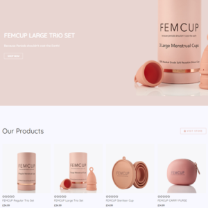 portfolio-2-img-femcup